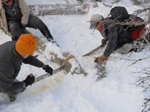 Using a hand saw to clear a trail.