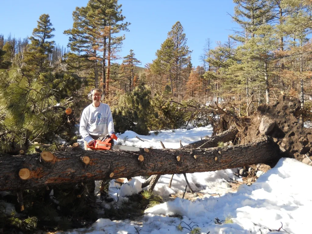 Using a chainsaw on a downed tree across CR198