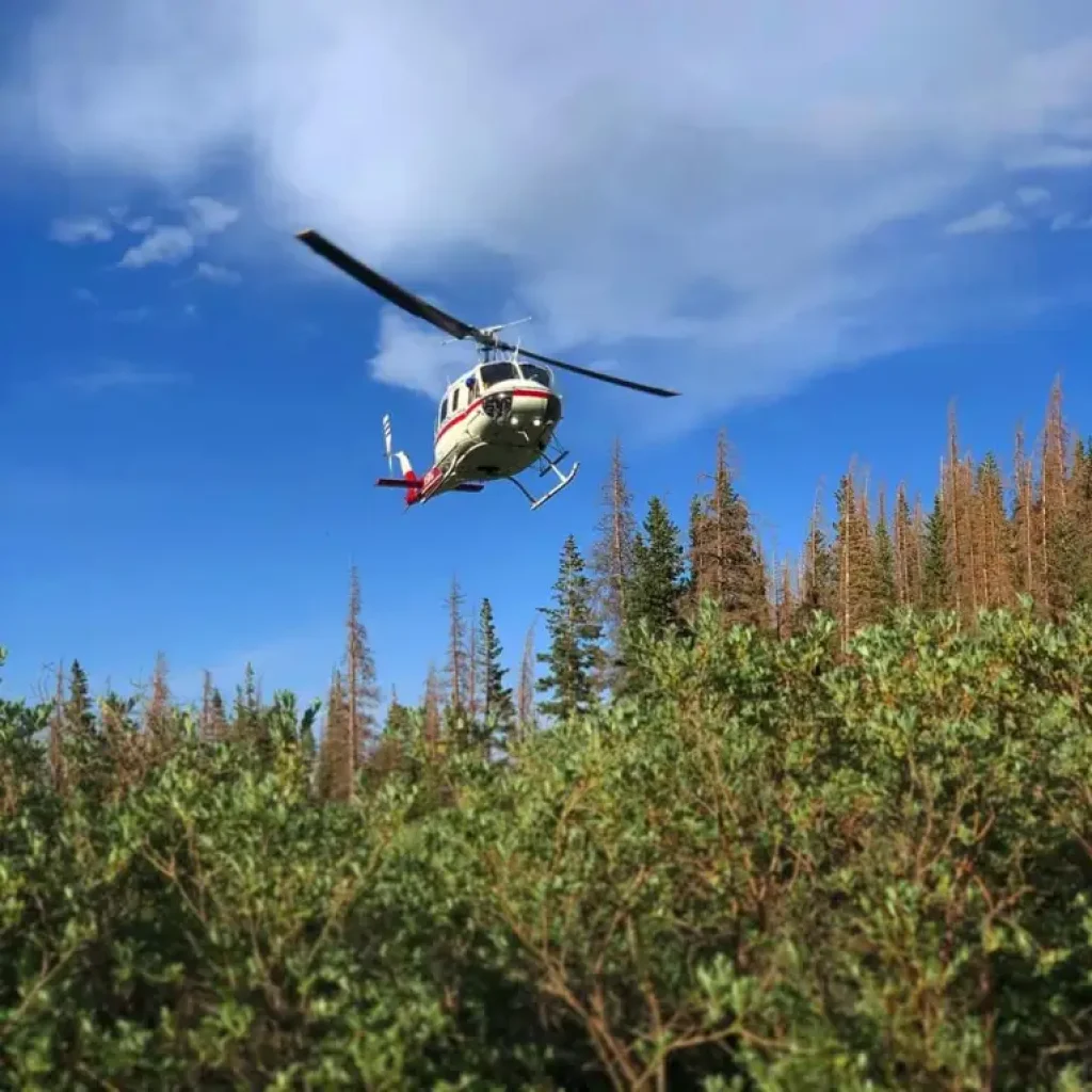 For Mission #2 on 7/12/2020, at 1500 CCSAR was alerted to an 80 yr-old subject needing assistance on the Dry Creek Trail approximately 1.25 miles below Dry Lakes. Flight For Life (FFL) and Division of Fire Prevention and Control (DFPC) provided helicopter assistance.